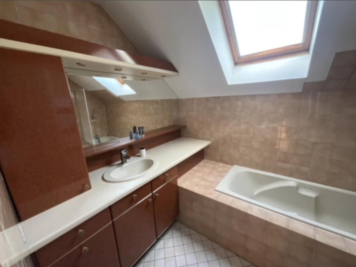 Villa Avec Piscine, Vue Lac Et Montagne Sévrier Zewnętrze zdjęcie